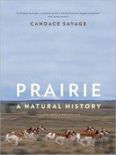 Prairie