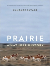 Prairie
