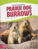 Prairie Dog Burrows