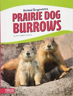 Bertrand.pt - Prairie Dog Burrows