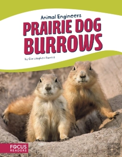 Bertrand.pt - Prairie Dog Burrows