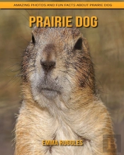 Prairie Dog
