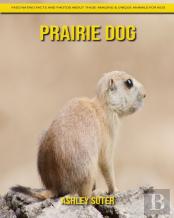 Prairie Dog
