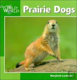 Bertrand.pt - Prairie Dogs