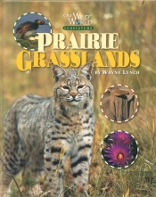 Prairie Grasslands