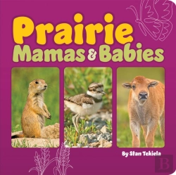 Bertrand.pt - Prairie Mamas And Babies