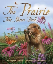 Prairie That Nature Built