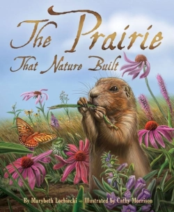 Bertrand.pt - Prairie That Nature Built
