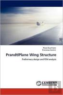 Prandtlplane Wing Structure