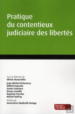 Bertrand.pt - Pratique De La Detention 1ere Edition