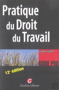 Bertrand.pt - Pratique Du Droit Du Travail (12e Edition)