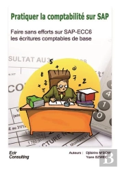Pratiquer La Comptabilité Sur Sap