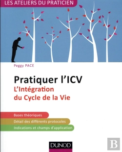 Bertrand.pt - Pratiquer L'Icv - 2e Ed. - L'Integration Du Cycle De La Vie (Lifespan Integration)