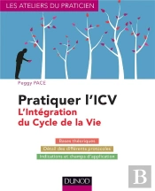 Pratiquer L'Icv ; L'Intégration Du Cycle De La Vie (Lifespan Integration)