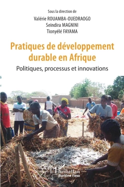 Bertrand.pt - Pratiques De Développement Durable En Afrique ; Politiques, Processus Et Innovations