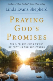Praying God`S Promises Â€“ The Lifeâ€“Changing Power Of Praying The Scriptures