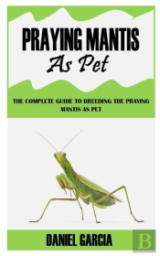 Praying Mantis As Pet