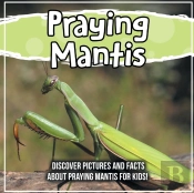 Praying Mantis