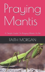 Praying Mantis