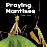 Praying Mantises