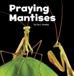 Bertrand.pt - Praying Mantises