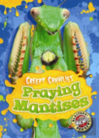 Praying Mantises