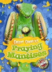 Praying Mantises