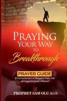 Praying Your Way To Breakthrough- A Compilation Of  Prayers From A 41 Days Annual Retreat