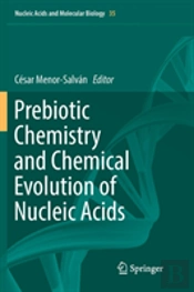 Prebiotic Chemistry And Chemical Evolution Of Nucleic Acids