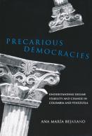 Precarious Democracies