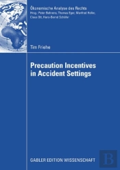 Precaution Incentives In Accident Settings