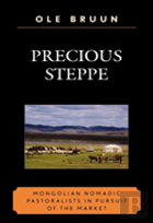 Precious Steppe