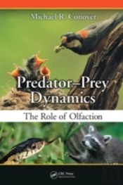 Predator-Prey Dynamics