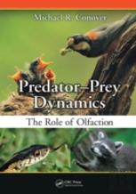 Predator-Prey Dynamics