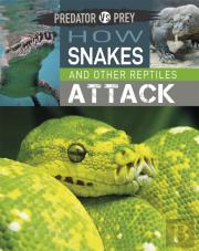 Predator Vs Prey: How Snakes And Other Reptiles Attack