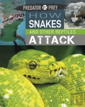 Predator Vs Prey: How Snakes And Other Reptiles Attack