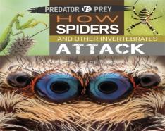 Predator Vs Prey: How Spiders And Other Invertebrates Attack