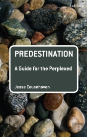 Predestination: A Guide For The Perplexed