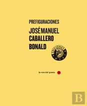 Prefiguraciones