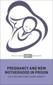 Pregnancy And New Motherhood In Prison