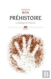 Préhistoire : La Fabrique De L'Homme