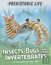 Prehistoric Life: Insects, Bugs And Other Invertebrates