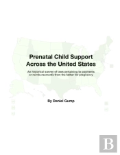 Prenatal Child Support Across The United States