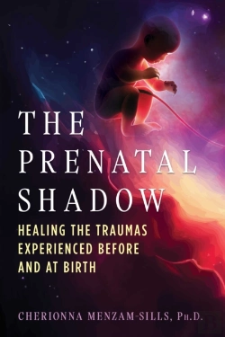 Bertrand.pt - Prenatal Shadow