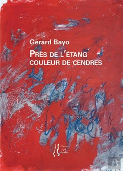 Bertrand.pt - Pres De L'Etang Couleur De Cendres