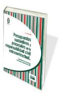 Presupuestos Sustantivos Y Procesales De La Responsabilidad Civil Extracontractual