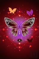 Pretty Butterfly