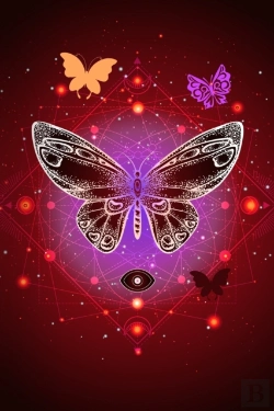 Bertrand.pt - Pretty Butterfly