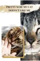 Pretty Sure MУ Cat Doesn'T Like Me
