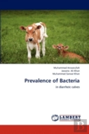 Prevalence Of Bacteria